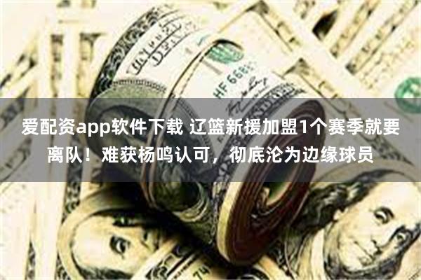 爱配资app软件下载 辽篮新援加盟1个赛季就要离队！难获杨鸣认可，彻底沦为边缘球员