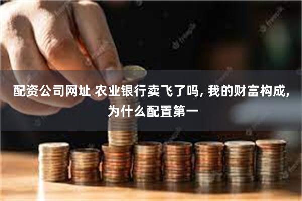 配资公司网址 农业银行卖飞了吗, 我的财富构成, 为什么配置第一