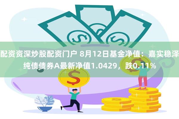 配资资深炒股配资门户 8月12日基金净值：嘉实稳泽纯债债券A最新净值1.0429，跌0.11%