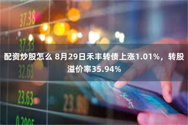 配资炒股怎么 8月29日禾丰转债上涨1.01%，转股溢价率35.94%