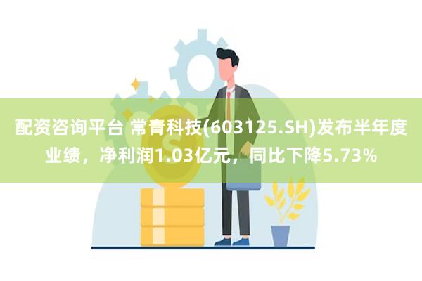 配资咨询平台 常青科技(603125.SH)发布半年度业绩，净利润1.03亿元，同比下降5.73%