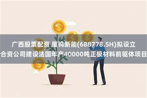 广西股票配资 厦钨新能(688778.SH)拟设立合资公司建设法国年产40000吨正极材料前驱体项目