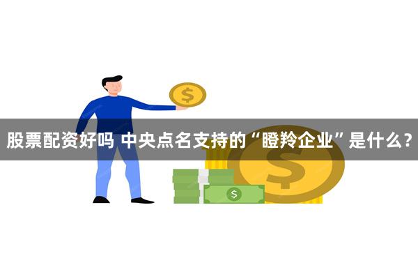 股票配资好吗 中央点名支持的“瞪羚企业”是什么？