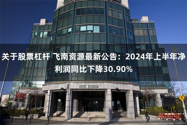 关于股票杠杆 飞南资源最新公告：2024年上半年净利润同比下降30.90%