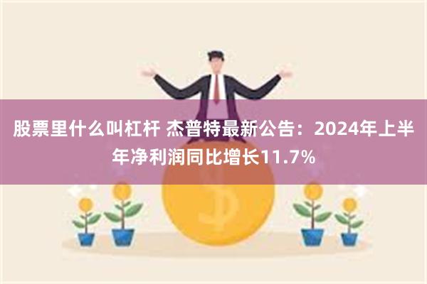 股票里什么叫杠杆 杰普特最新公告：2024年上半年净利润同比增长11.7%