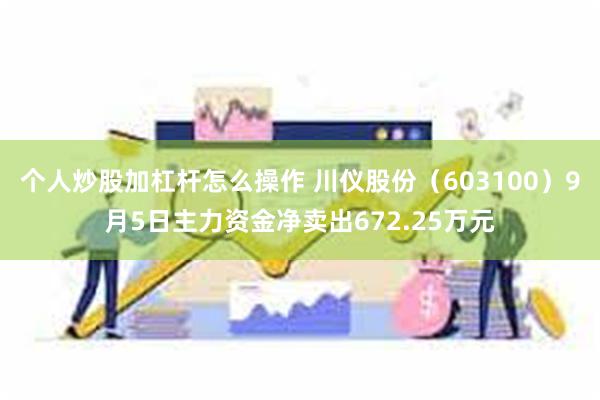 个人炒股加杠杆怎么操作 川仪股份（603100）9月5日主力资金净卖出672.25万元