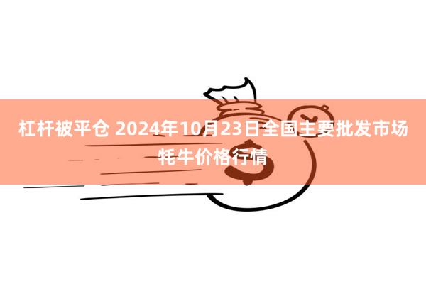 杠杆被平仓 2024年10月23日全国主要批发市场牦牛价格行情