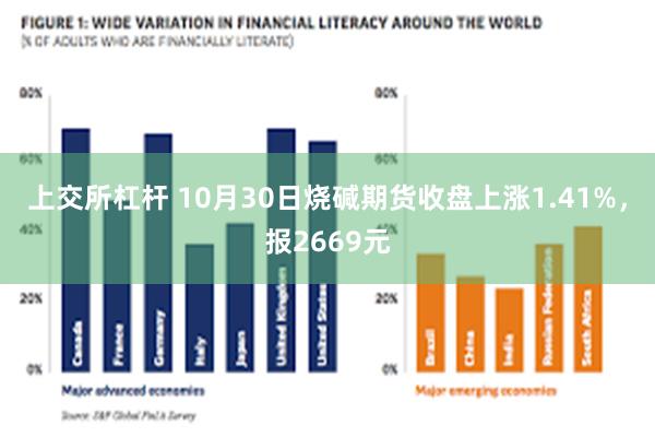 上交所杠杆 10月30日烧碱期货收盘上涨1.41%，报2669元