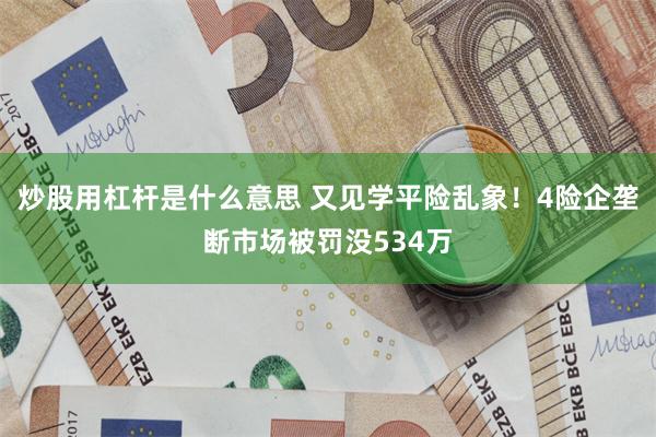 炒股用杠杆是什么意思 又见学平险乱象！4险企垄断市场被罚没534万