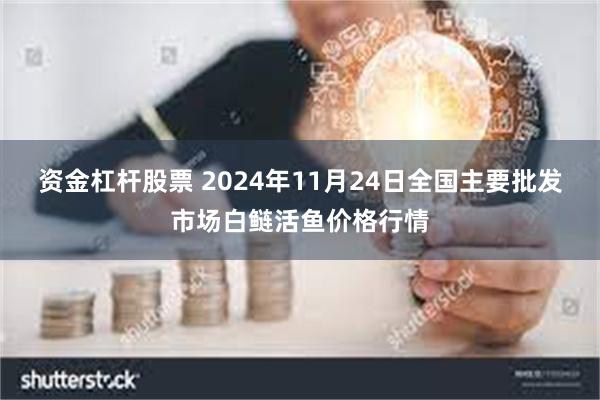 资金杠杆股票 2024年11月24日全国主要批发市场白鲢活鱼价格行情