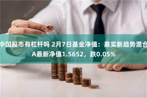 中国股市有杠杆吗 2月7日基金净值：嘉实新趋势混合A最新净值1.5652，跌0.05%